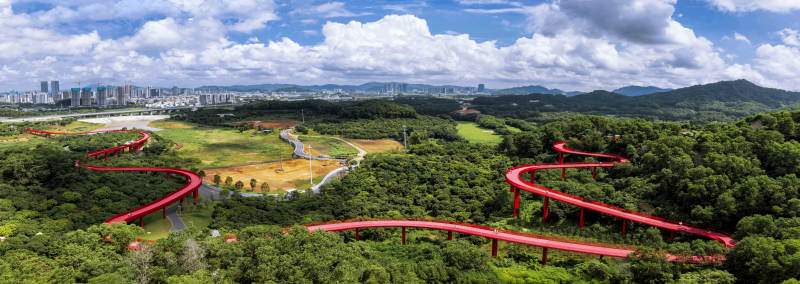 红桥蜿蜒绿野间图片