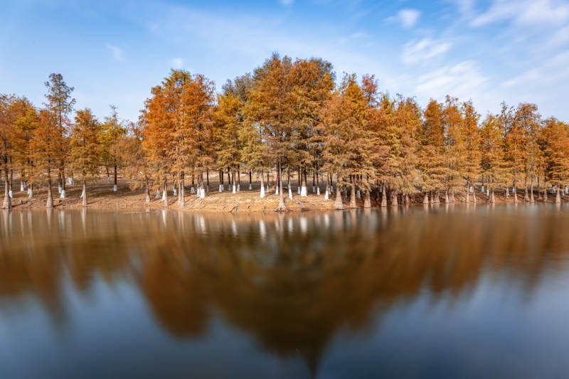秋林倒影湖中图片