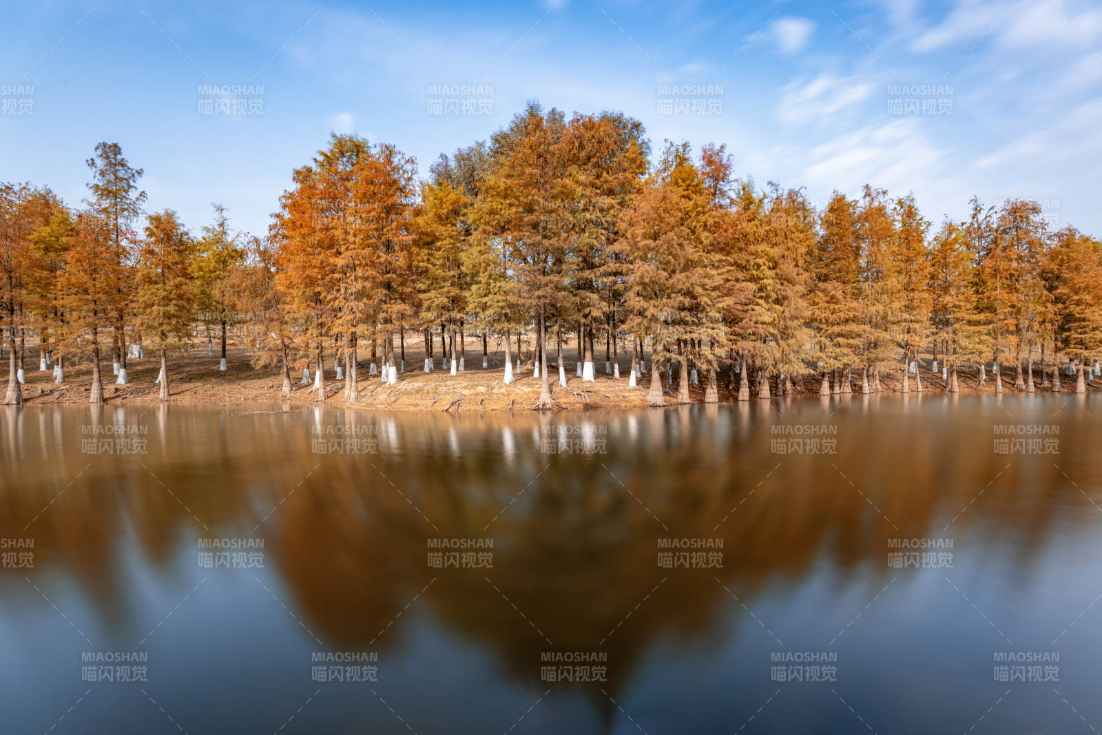 秋林倒影湖中图片