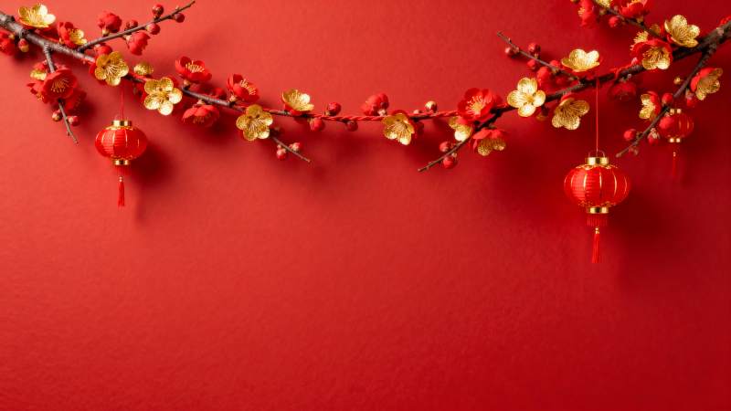 红梅挂灯迎新春图片