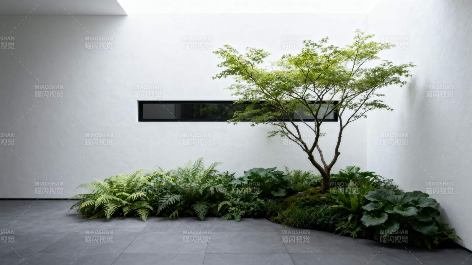 庭院绿意盎然图片