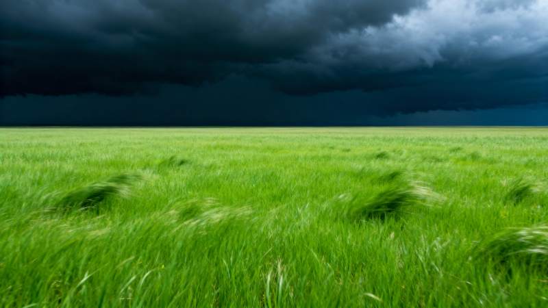 风暴前的绿野图片