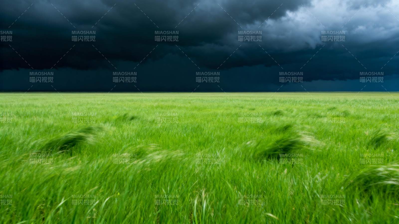 风暴前的绿野图片