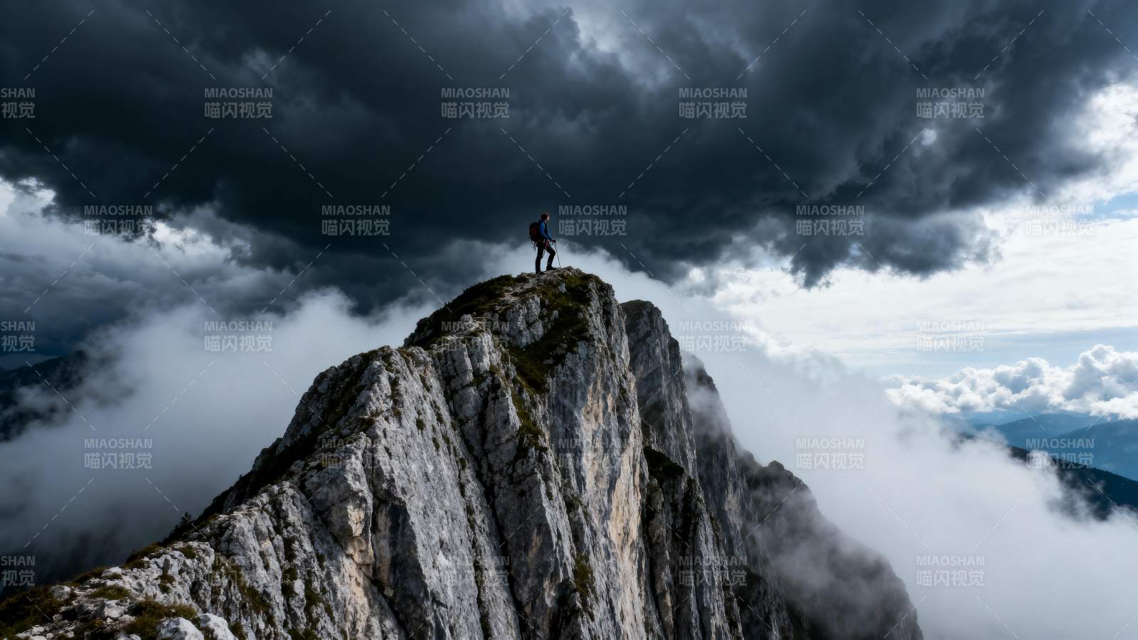 云海之巅 孤影立峰图片