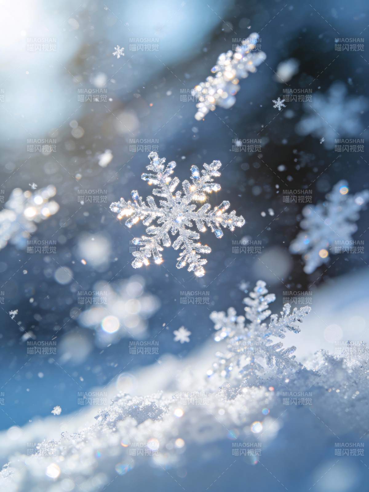 晶莹雪花飘落图片