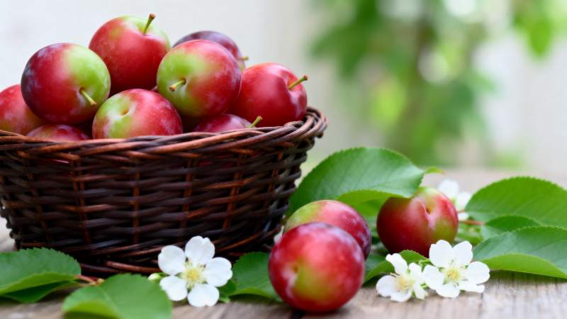 篮中红果伴花香图片