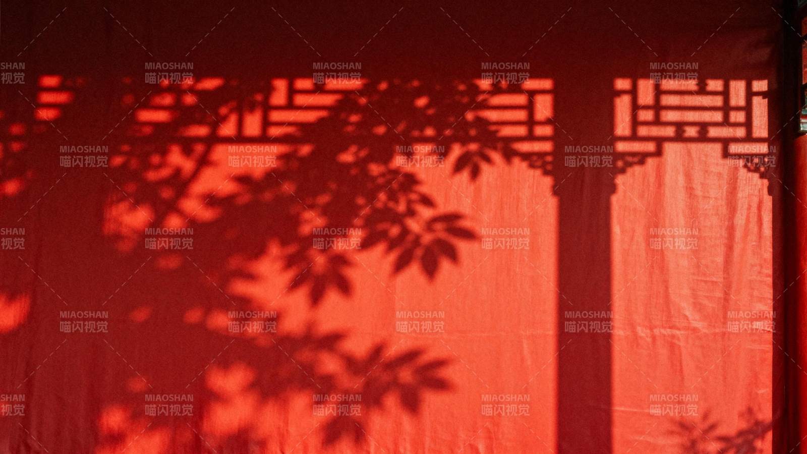 红墙影叶图片