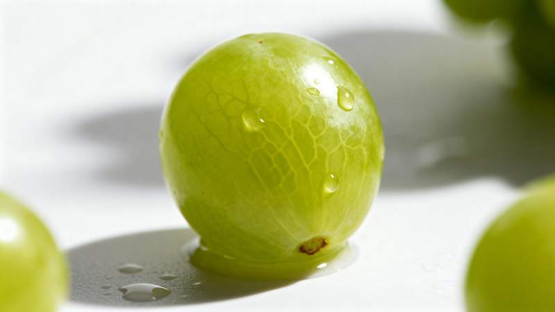 晶莹剔透的青葡萄图片