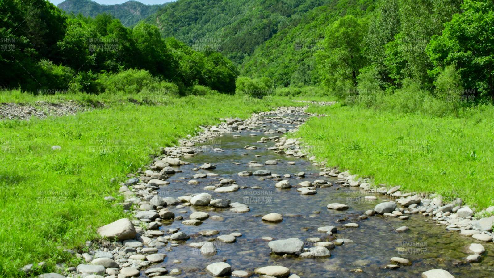 山间溪流绿意盎然图片