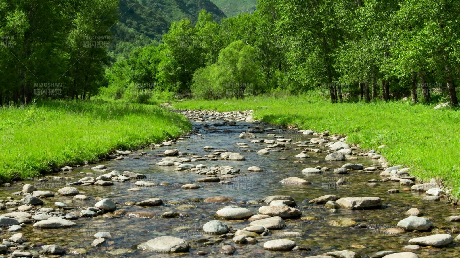 溪流穿林过图片