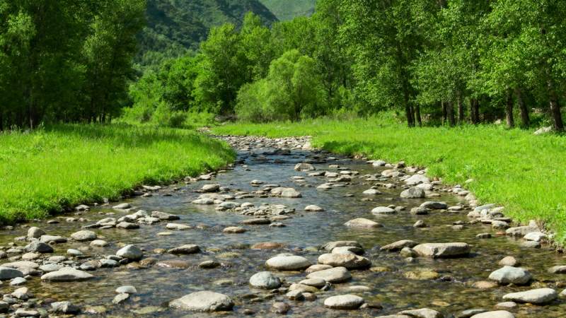 溪流穿林过图片