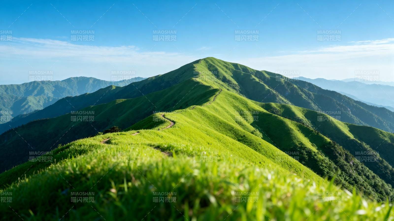 青山连绵绿意浓图片