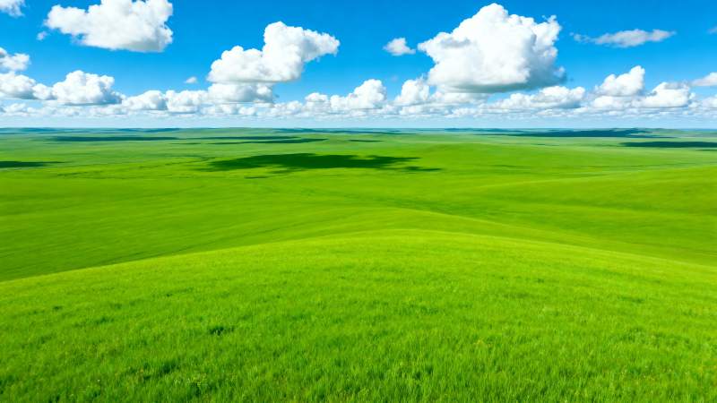 绿野蓝天 云影轻移图片