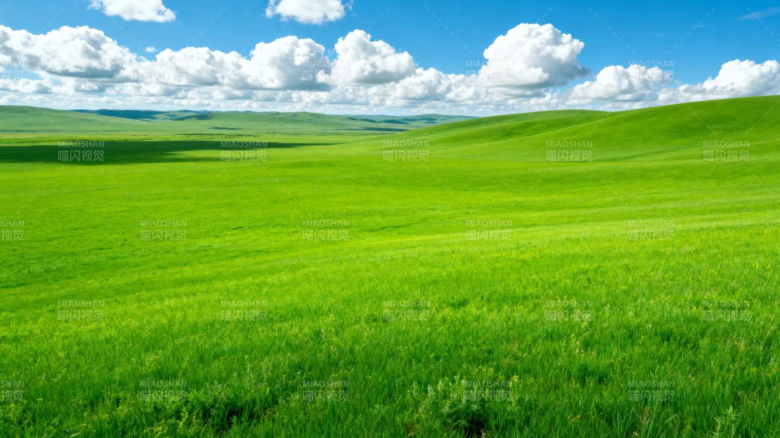绿野蓝天 心旷神怡图片