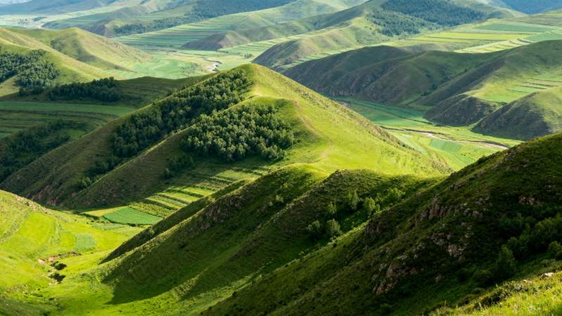 绿野山峦画卷图片