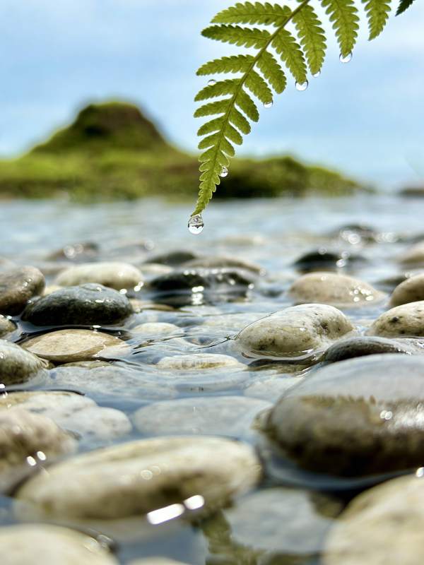 水滴轻落石上图片