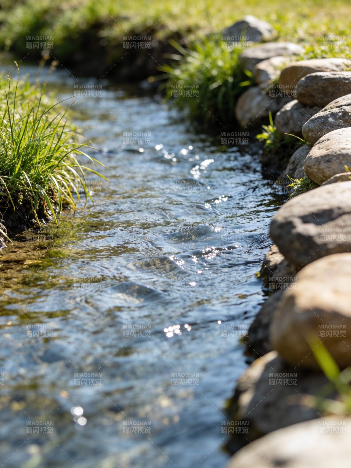溪流潺潺石畔绿图片