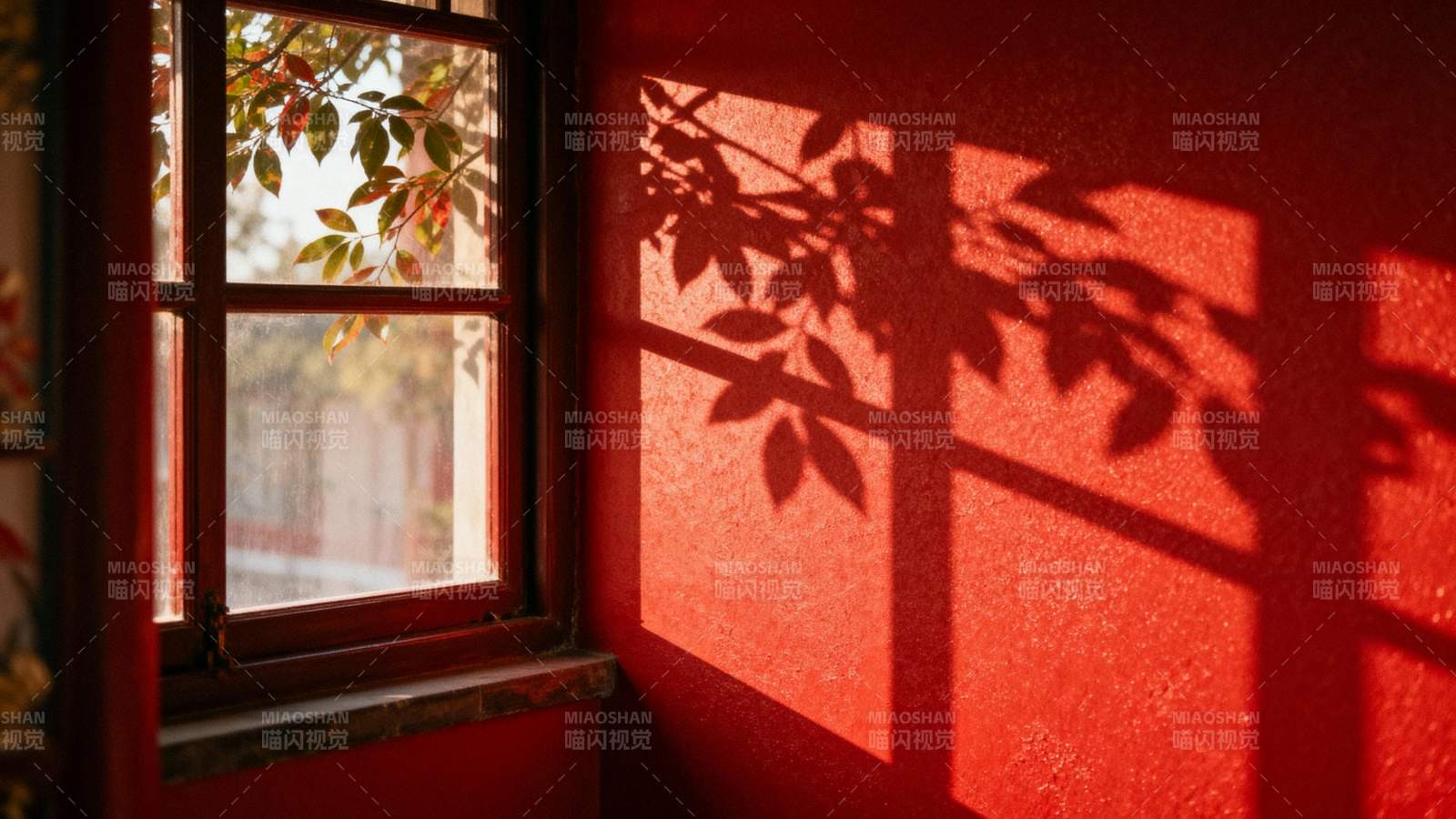 窗影叶痕图片