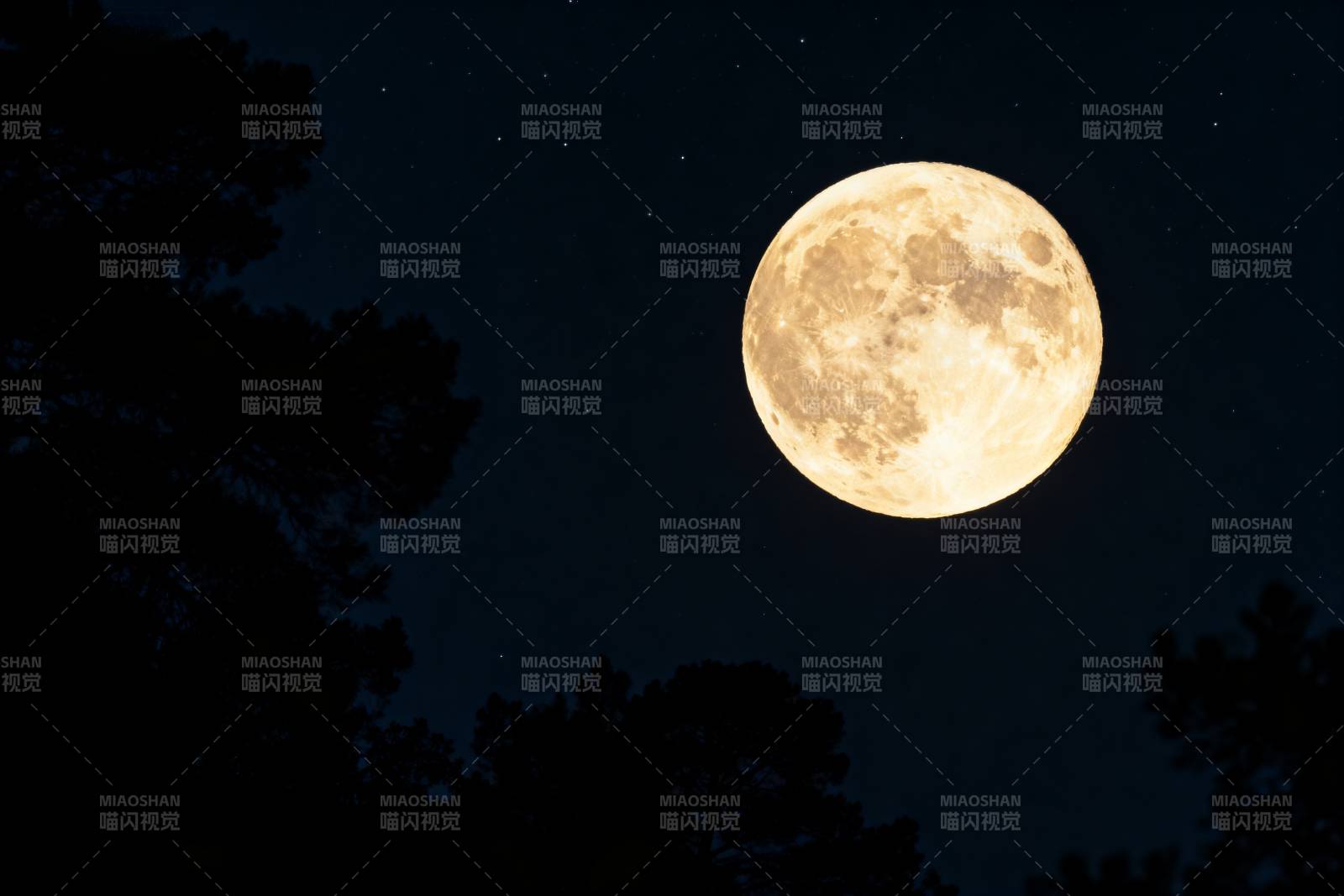 明月高悬夜空图片