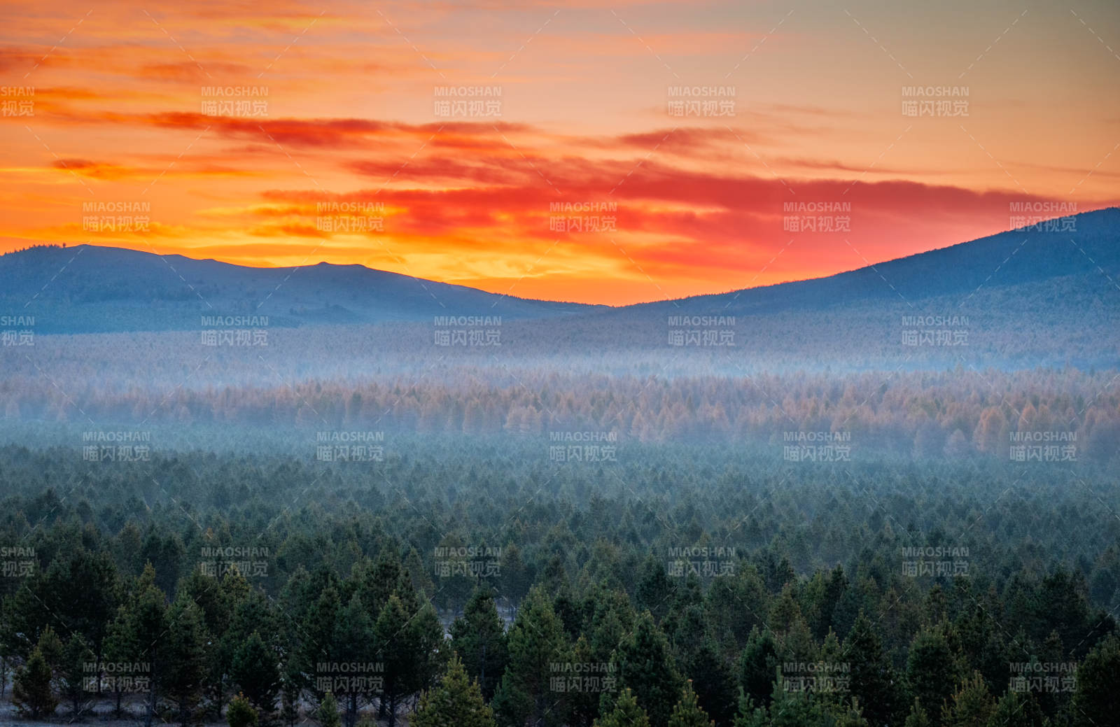 晨雾森林日出图片
