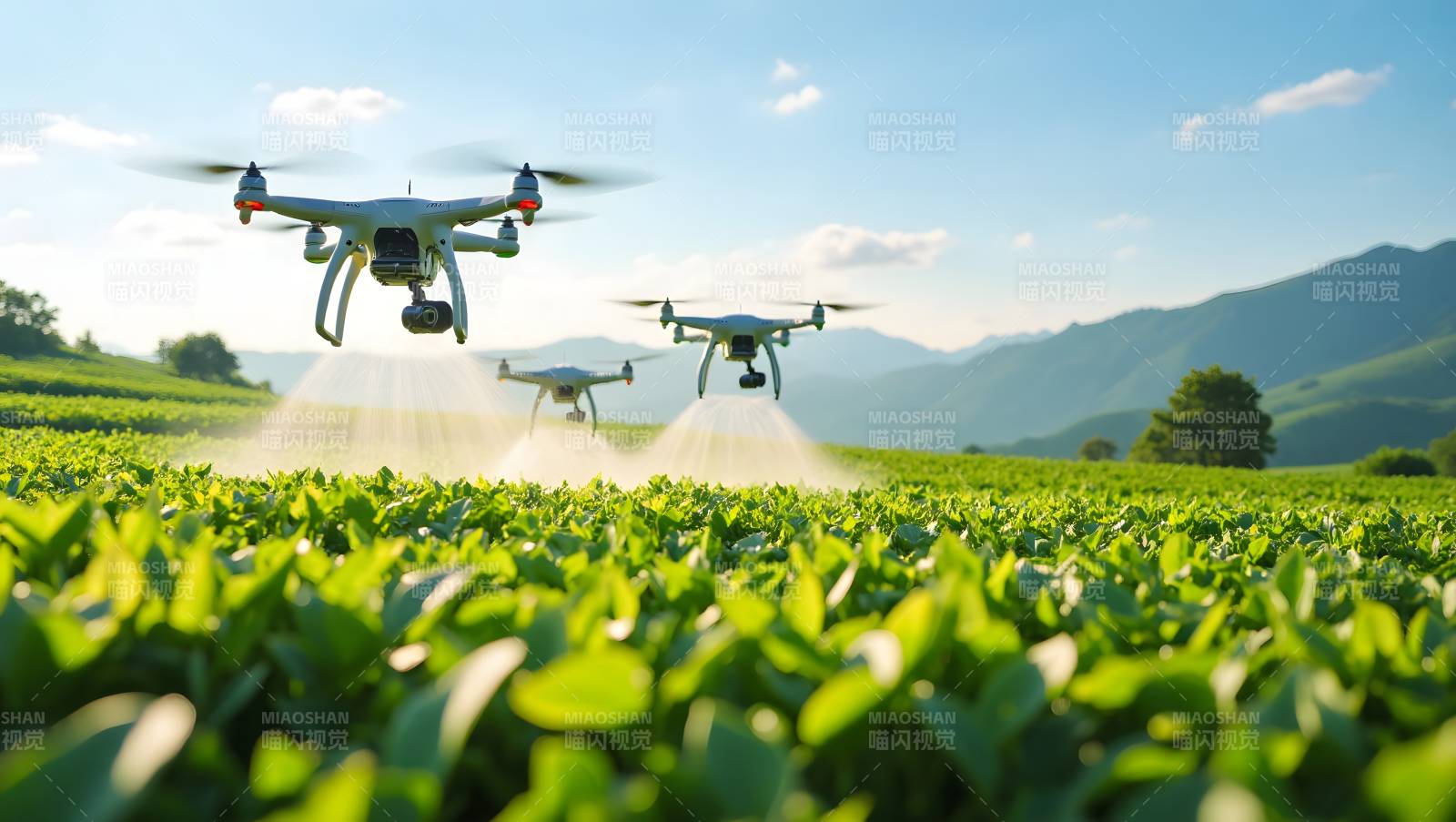 无人机农田喷洒图片