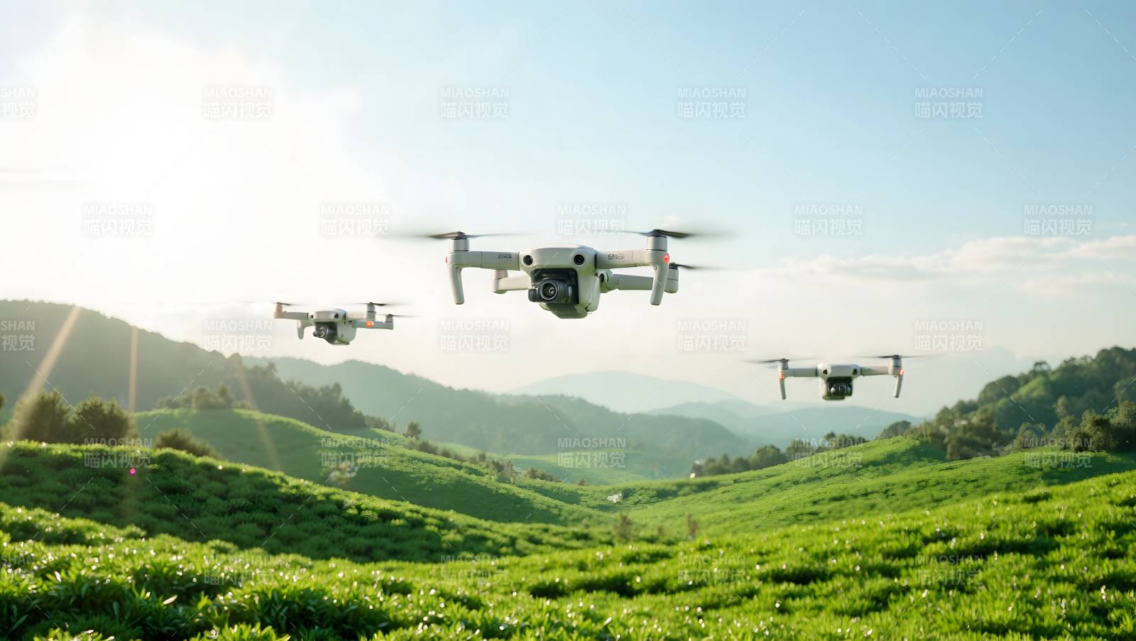 无人机巡田图片