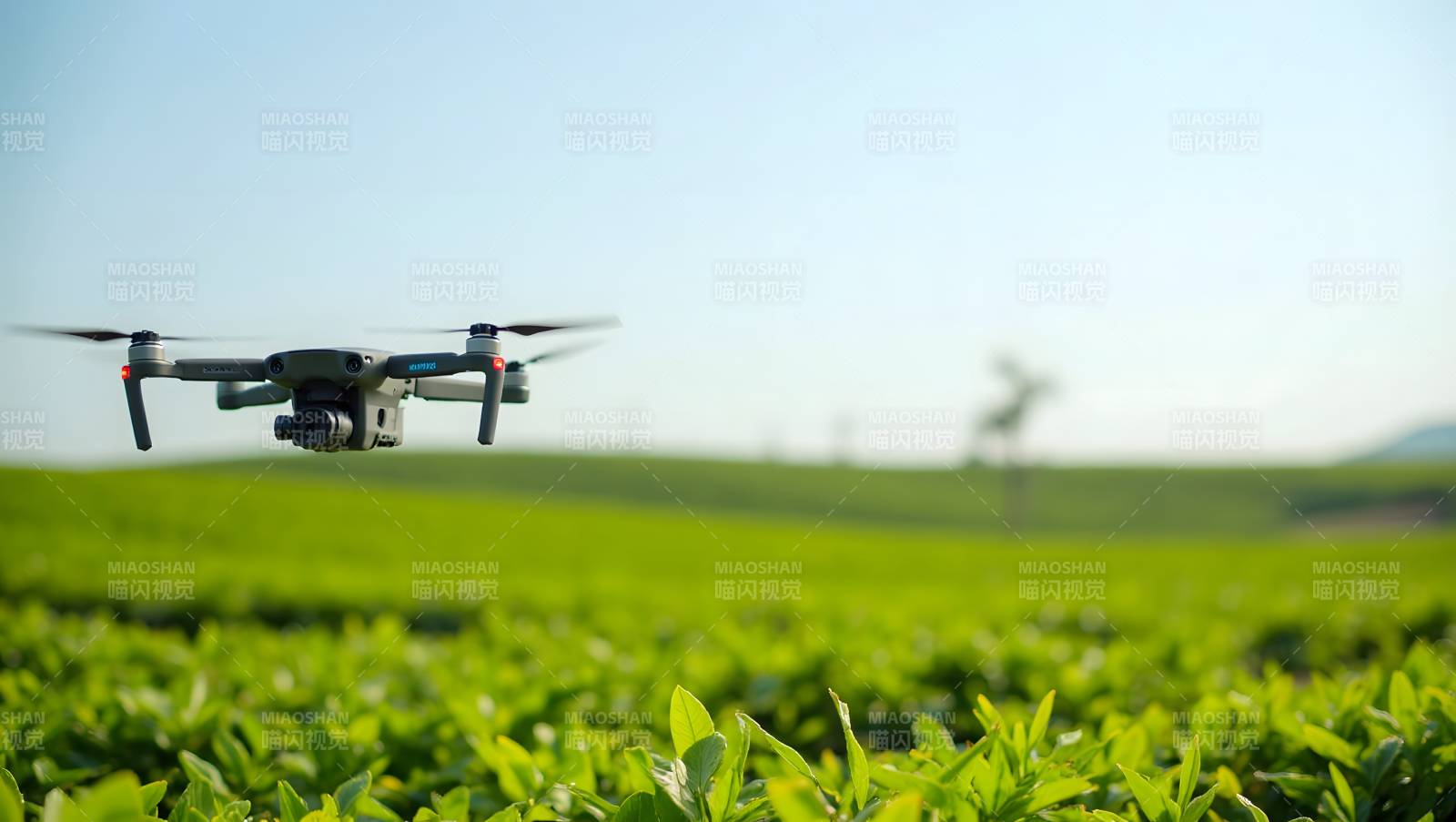 无人机飞越茶园图片