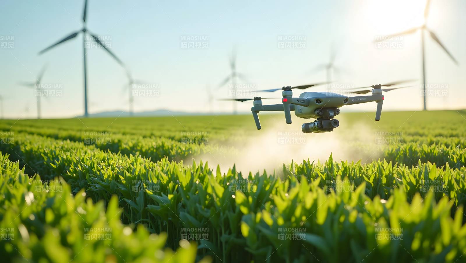 无人机农田喷洒图片