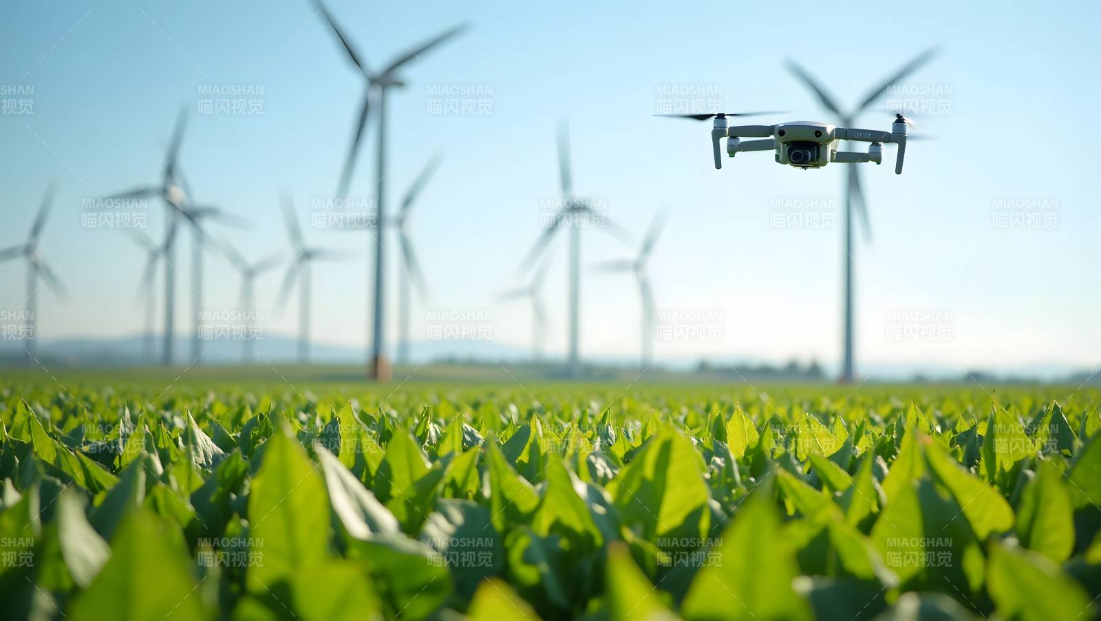 无人机巡田 风车相伴图片