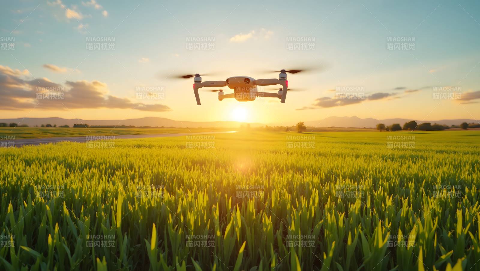 无人机飞越麦田图片