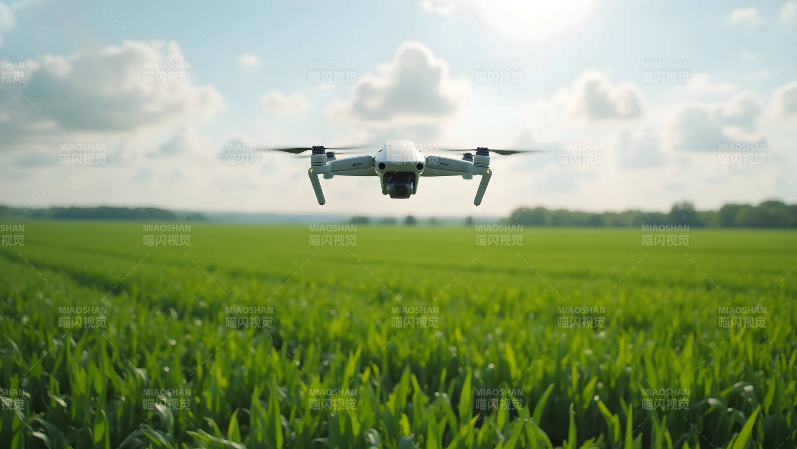 无人机巡田图片